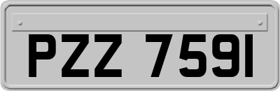 PZZ7591