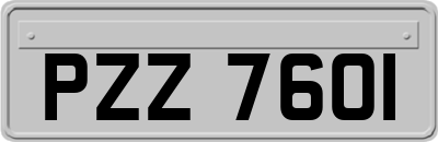 PZZ7601