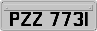 PZZ7731