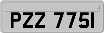 PZZ7751