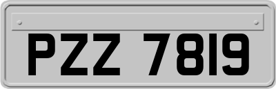 PZZ7819