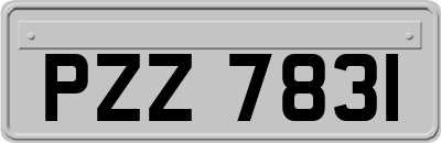 PZZ7831