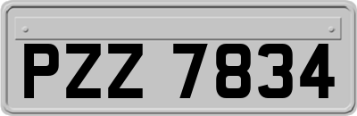 PZZ7834