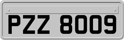 PZZ8009