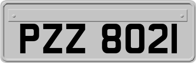 PZZ8021