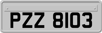 PZZ8103