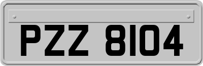 PZZ8104