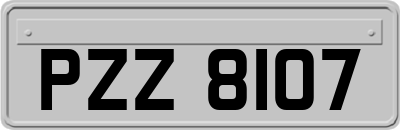 PZZ8107