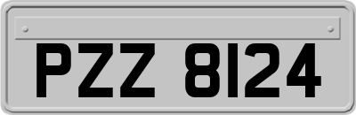 PZZ8124