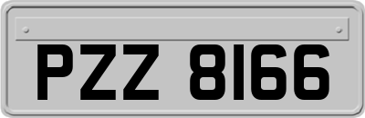 PZZ8166