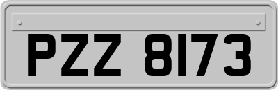 PZZ8173