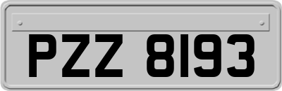 PZZ8193