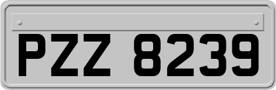 PZZ8239