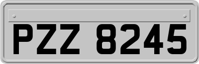 PZZ8245