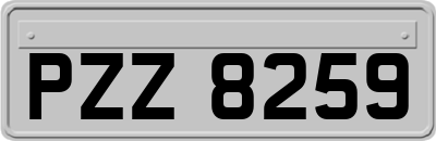 PZZ8259