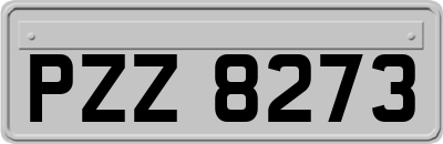 PZZ8273