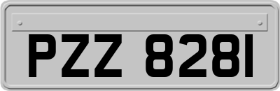 PZZ8281