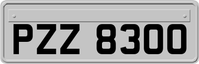 PZZ8300