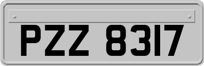 PZZ8317