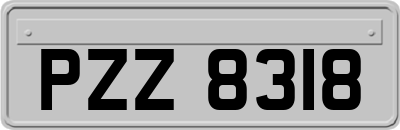 PZZ8318