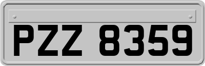 PZZ8359