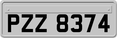 PZZ8374