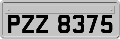 PZZ8375