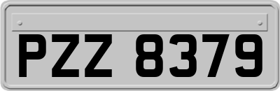 PZZ8379