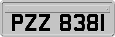 PZZ8381