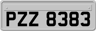 PZZ8383