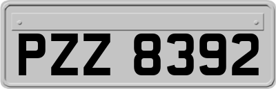 PZZ8392