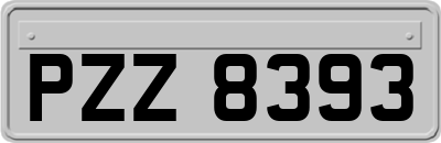 PZZ8393