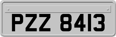 PZZ8413