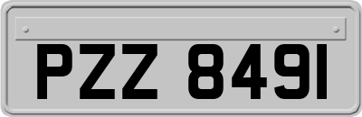 PZZ8491