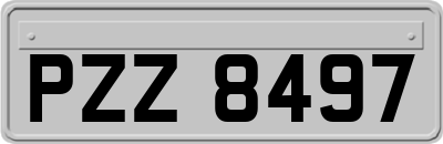 PZZ8497