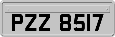 PZZ8517