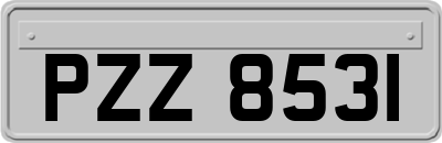 PZZ8531