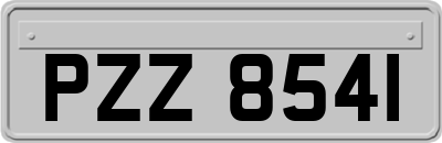 PZZ8541