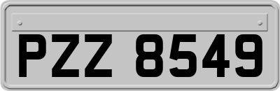 PZZ8549