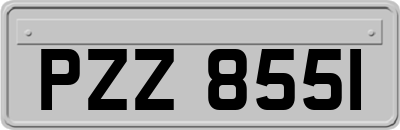 PZZ8551