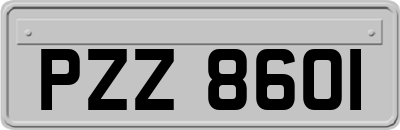 PZZ8601