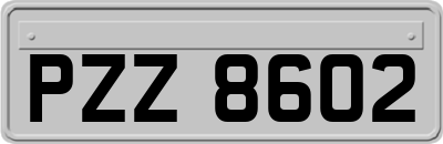 PZZ8602