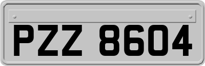 PZZ8604