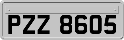 PZZ8605