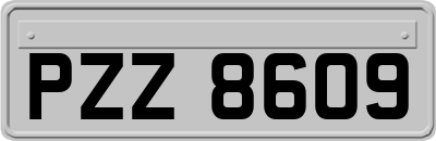 PZZ8609