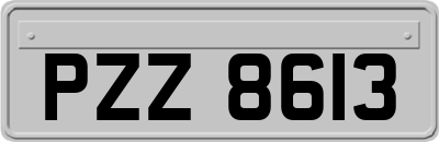 PZZ8613