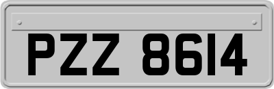 PZZ8614