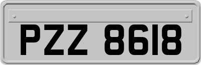 PZZ8618