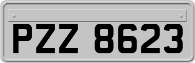 PZZ8623