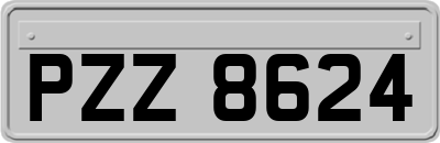 PZZ8624